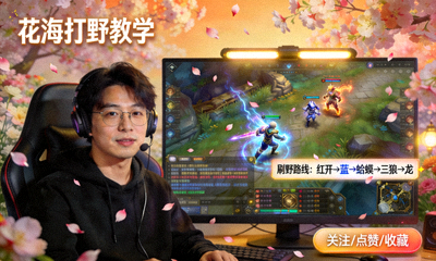 花海王者荣耀打野直播教学画面